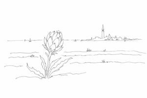 Orti di Sant’Erasmo con carciofo violetto stilizzato e laguna sullo sfondo