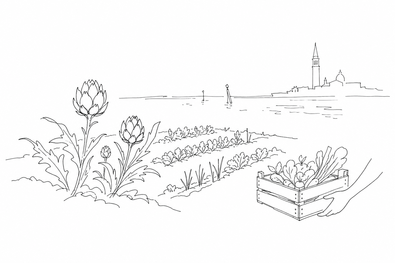Illustration for Sant’Erasmo: orti, carciofi violetti e la Venezia agricola che pochi immaginano