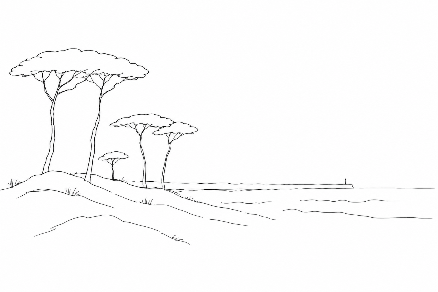 Alberoni: dunes, oasis and the lagoon where the Lido stops being fashionable