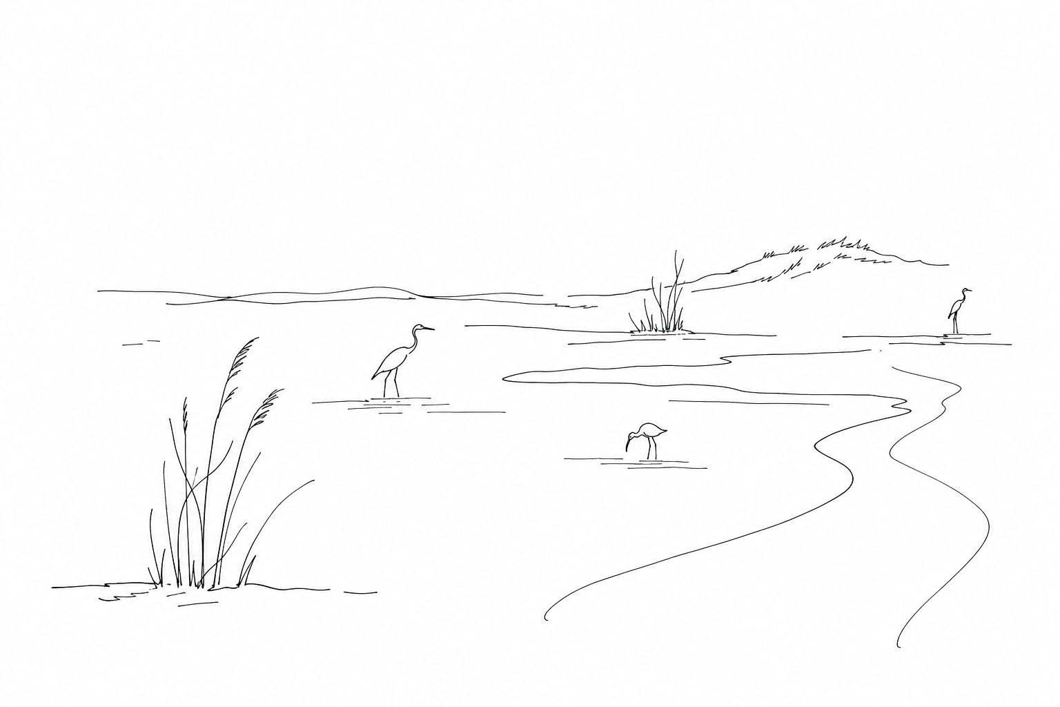 Illustration for Alberoni: dunes, oasis and the lagoon where the Lido stops being fashionable