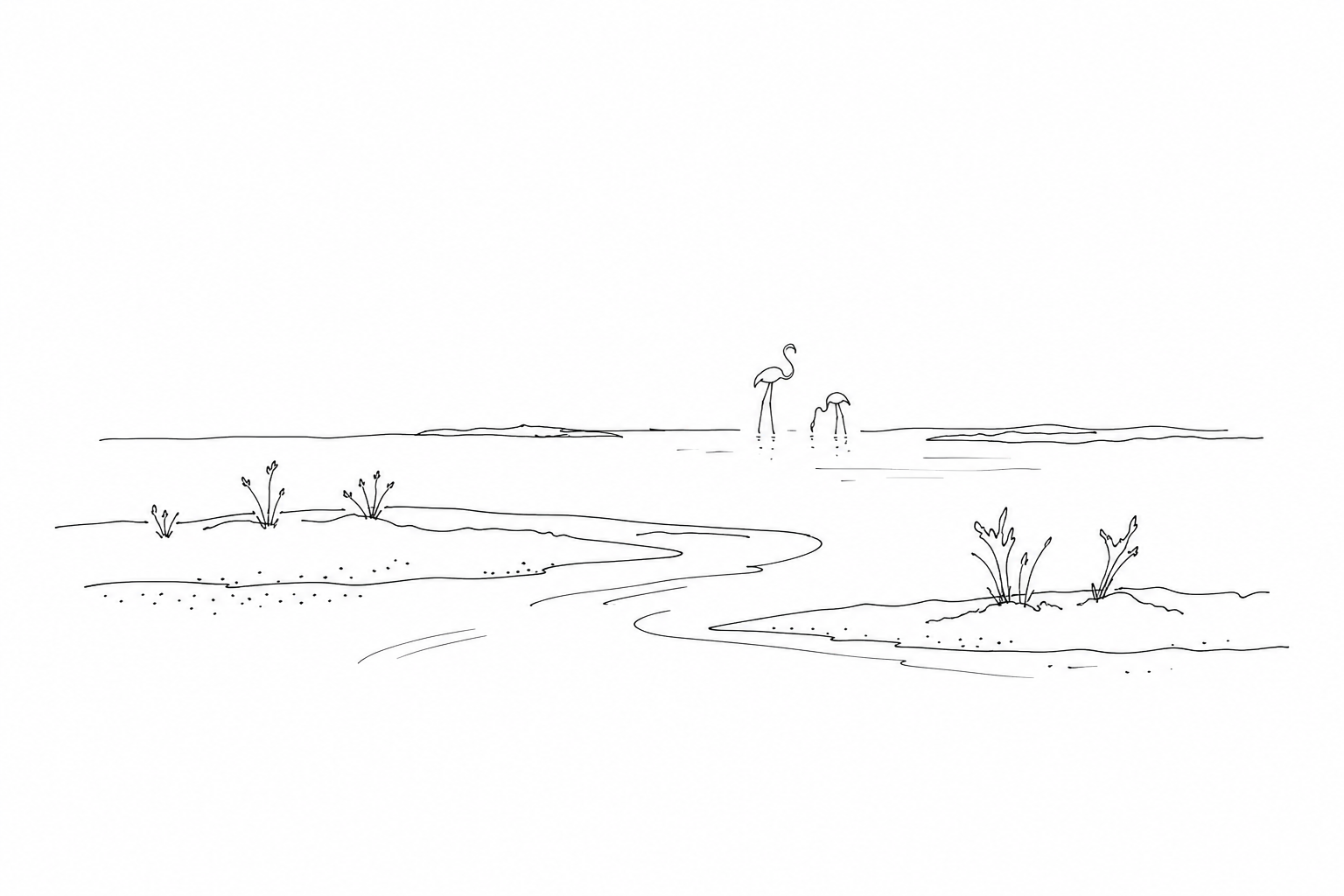 Illustration for Lio Piccolo: flamingos, salt marshes and silence in the northern lagoon